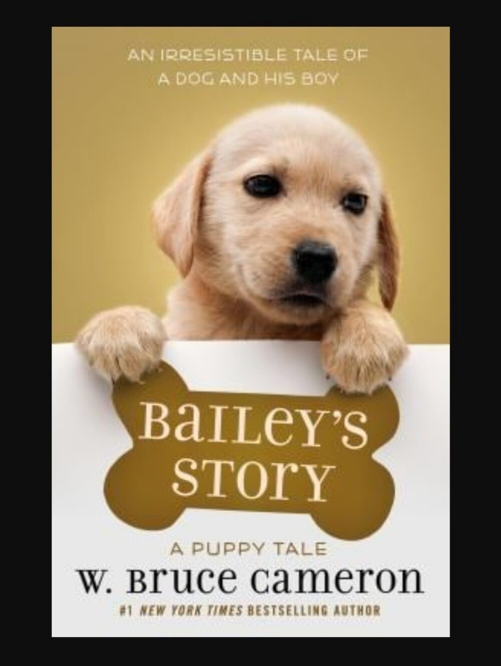 Bailey's Story : A Puppy Taleby W. Bruce Cameron Scholastic (Paperback)